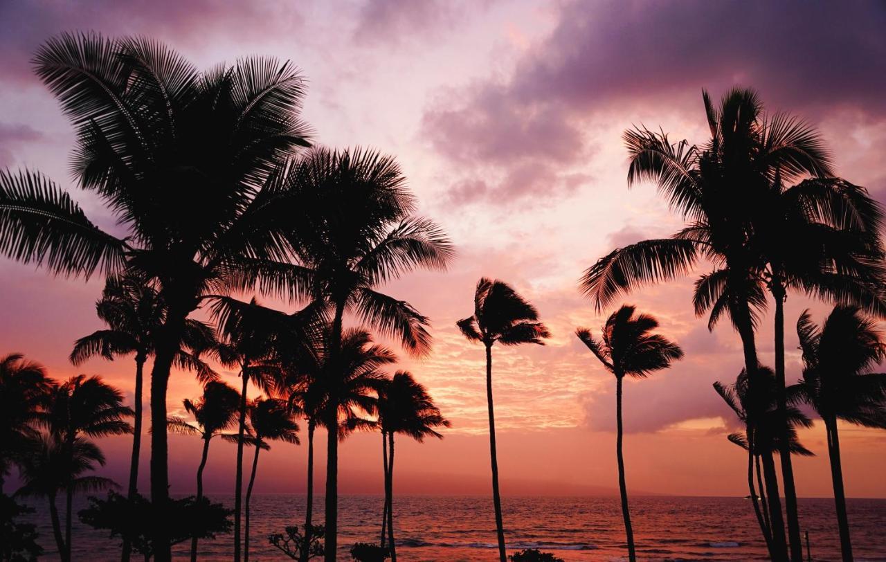 Free Parking, Pool, Sauna, Spa, Wifi, Bbq, Ac - Waikiki Banyan Apartamento *